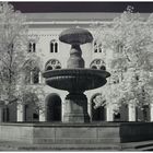 Infrarotbild Universität München