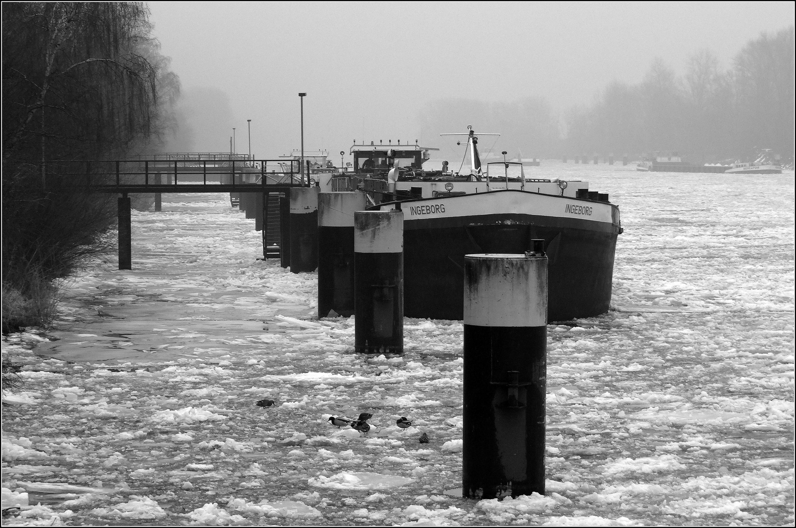 "INGEBORG" im Winter"schlaf"