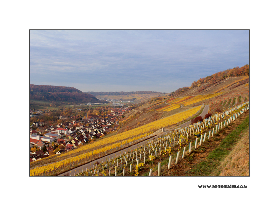 Ingelfingen im Kochertal