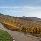 Ingelfinger Weinberge