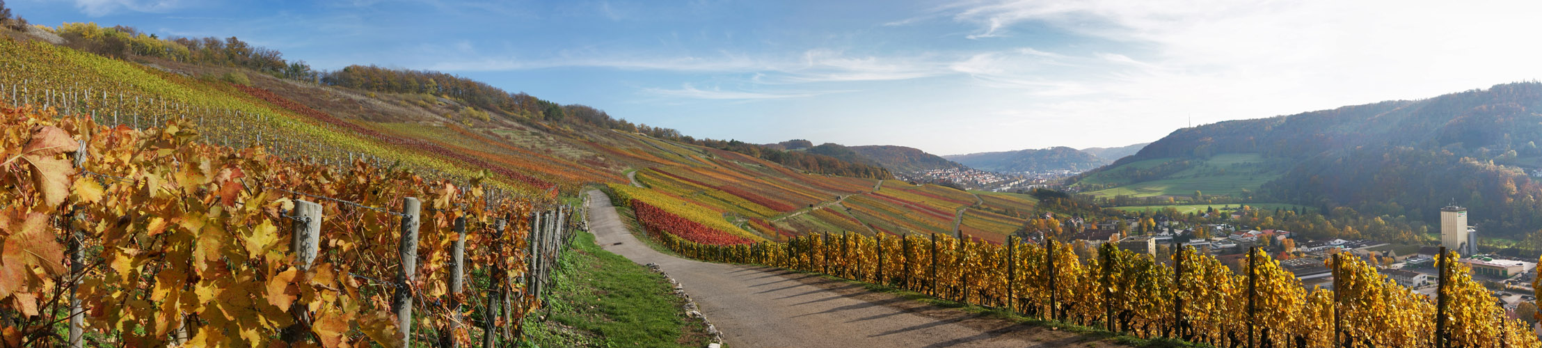 Ingelfinger Weinberge