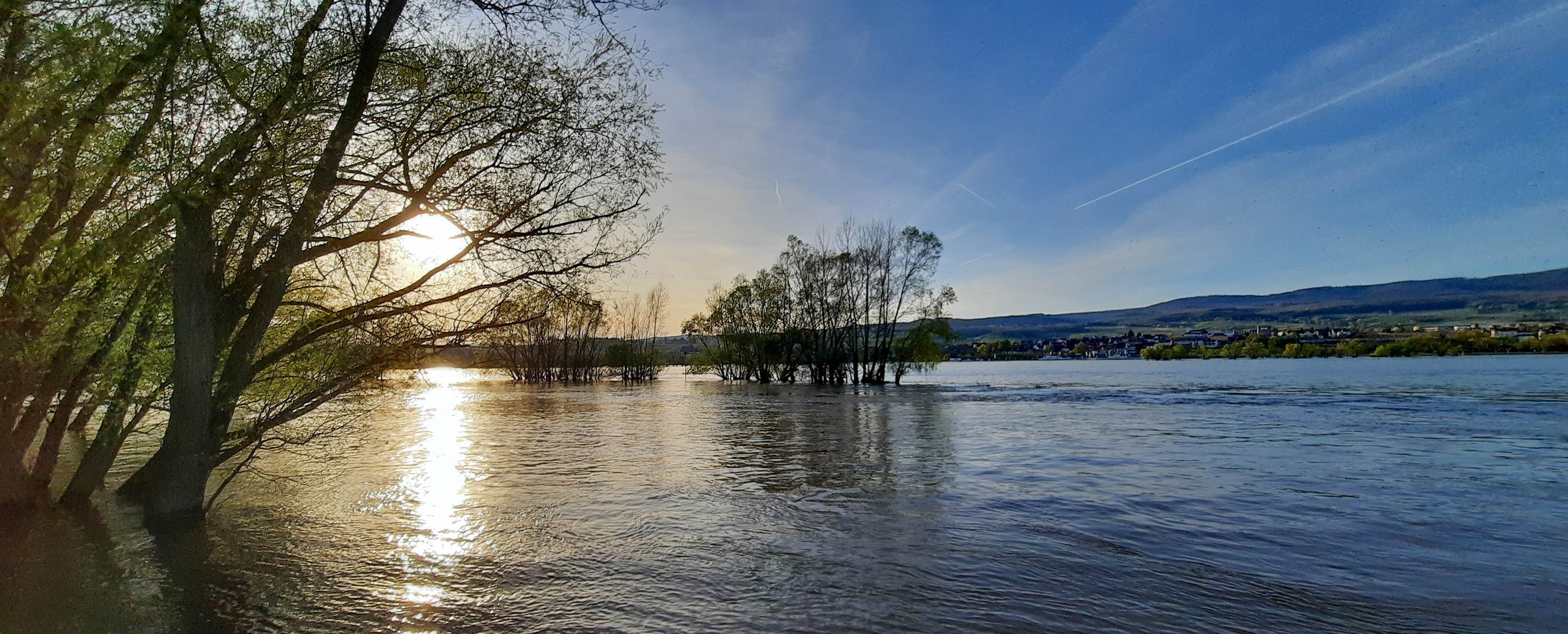 Ingelheim a Rhein