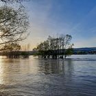 Ingelheim a Rhein