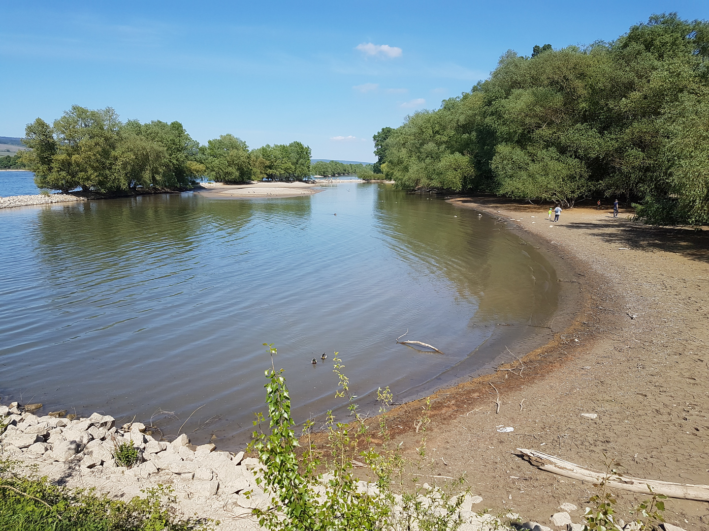 Ingelheim am Rhein 