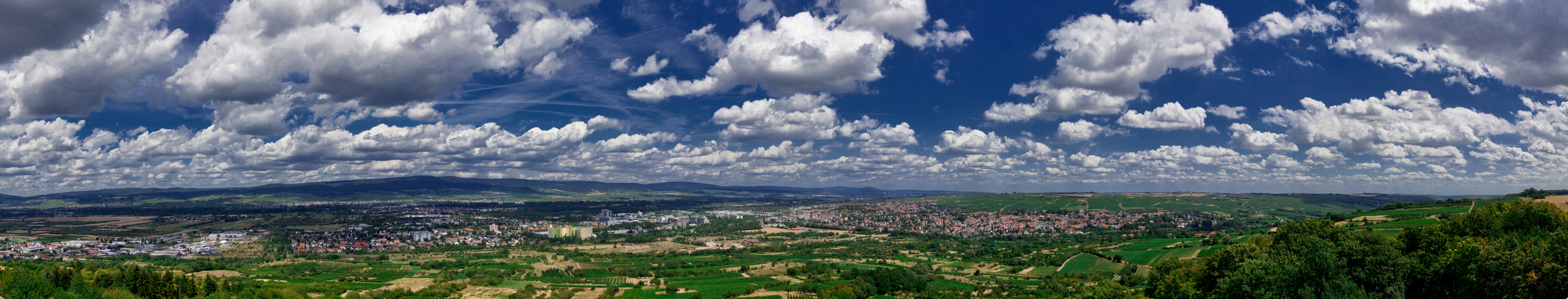 Ingelheim am Rhein