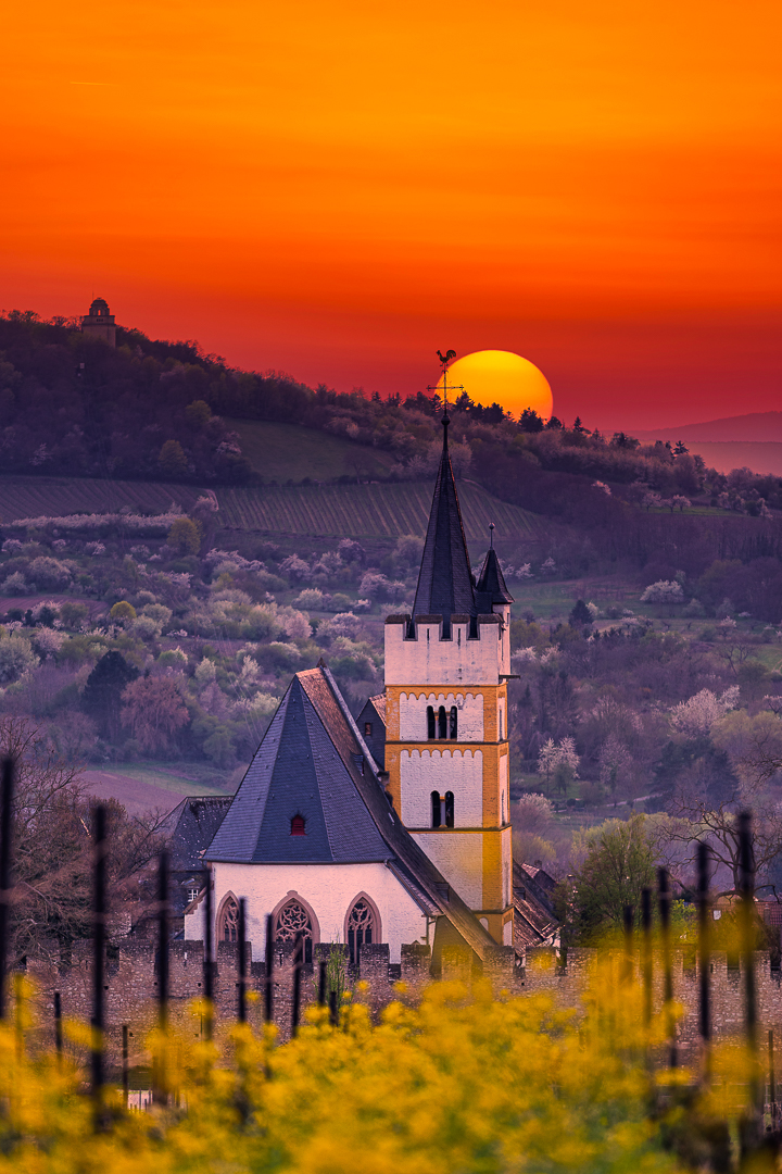 Ingelheim sundown