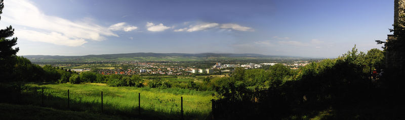 Ingelheim und Rheingau