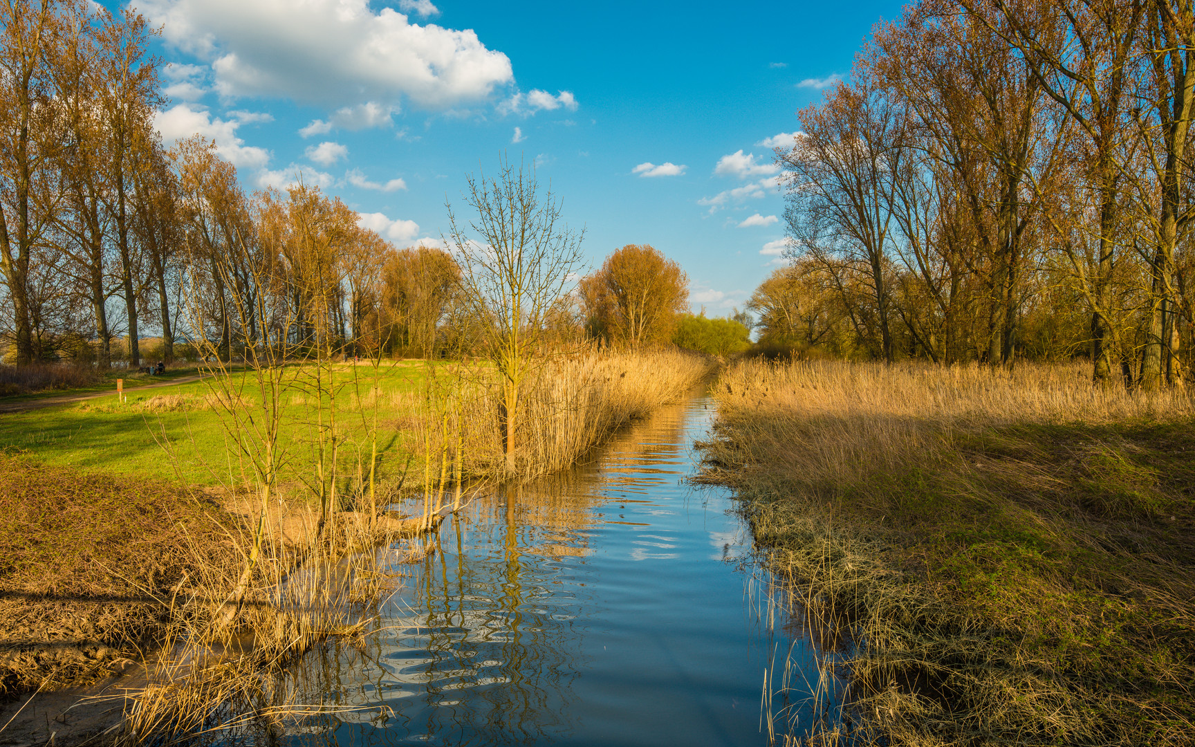 Ingelheimer Rheinaue 59