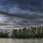 Ingelheimer Strandbad