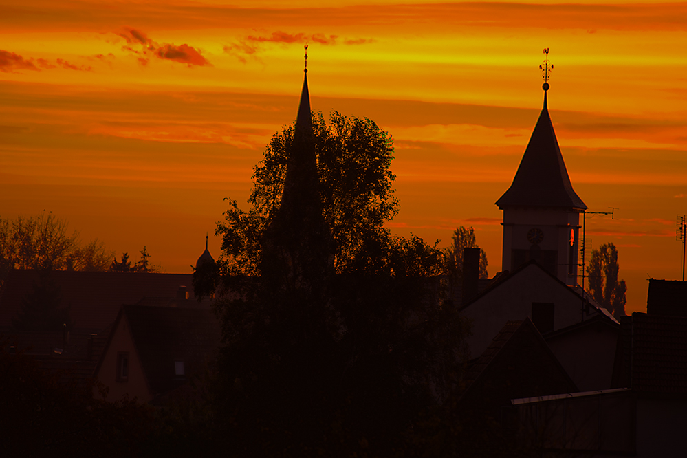 Ingenheim in der Pfalz 2013