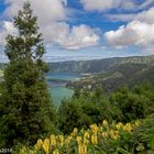 Ingewerlilie und der Blick auf Sete Cidades Sao Miguel