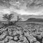 Ingleborough...