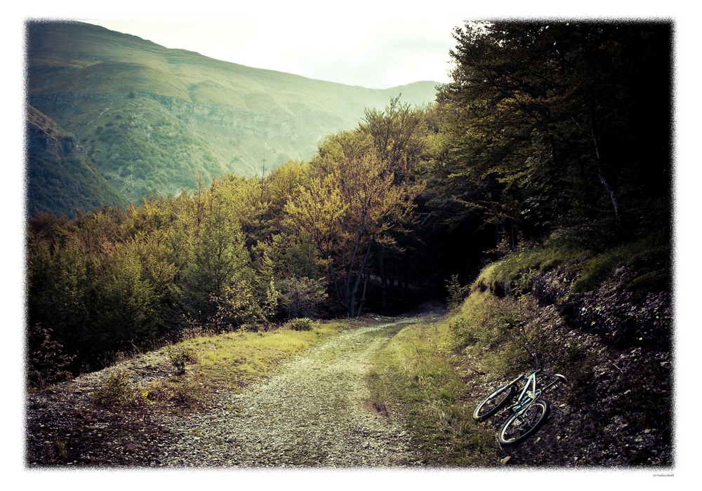 ..ingresso al bosco incantato...