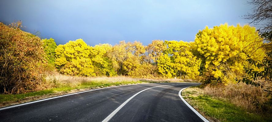 Ingresso nell'autunno 