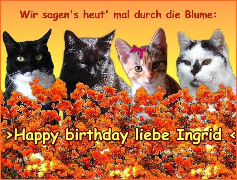 Ingrid hat Geburtstag