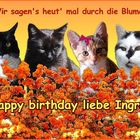 Ingrid hat Geburtstag