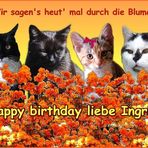 Ingrid hat Geburtstag