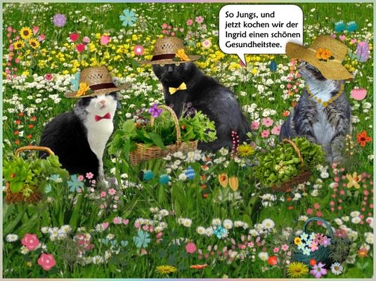 Ingrid hat Geburtstag