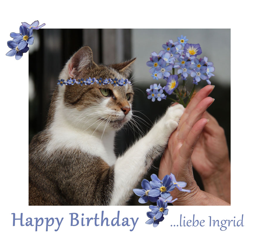 Ingrid hat Geburtstag