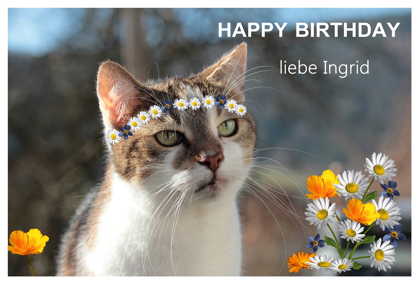 Ingrid hat Geburtstag