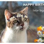 Ingrid hat Geburtstag