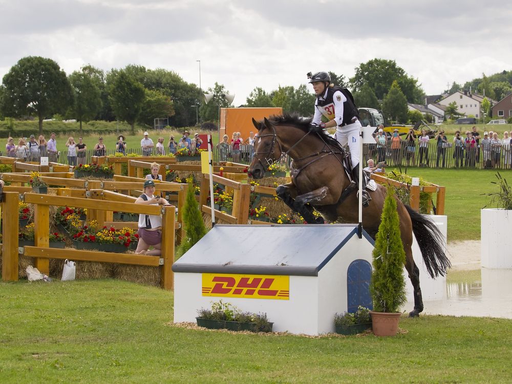 Ingrid Klimke auf "Horseware Hale Bob OLD"