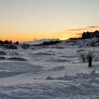 Þingvellir