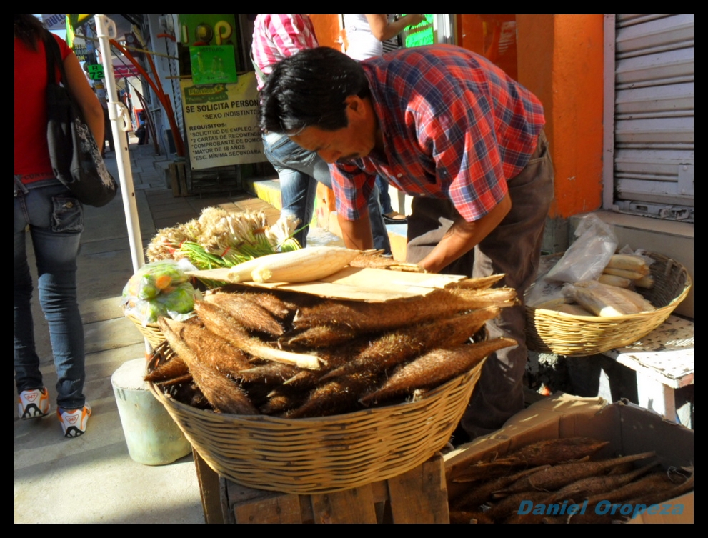 Inicia la venta en el Mercado