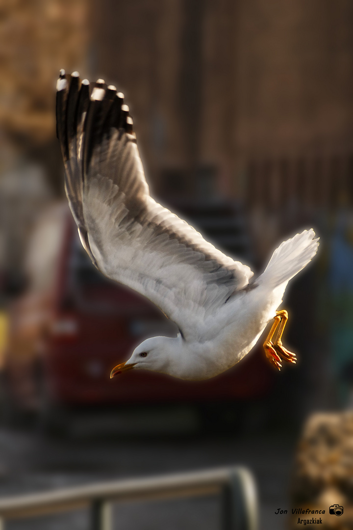 Iniciando el vuelo