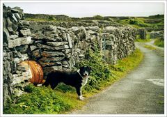 [ Inisheer ]