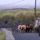 Inishmore I