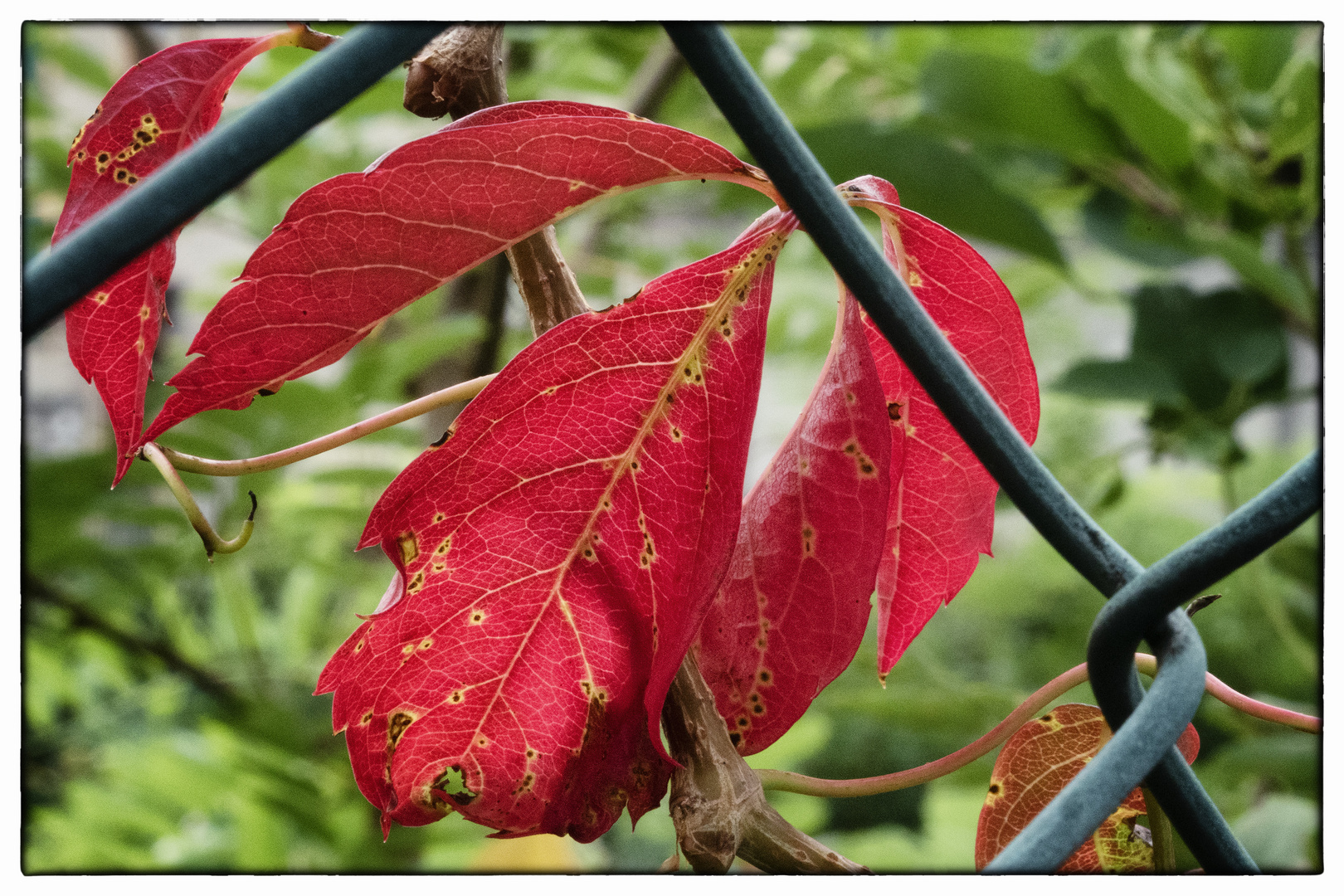 Inizia l'autunno