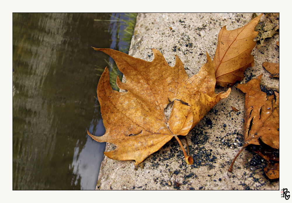 Inizio d'autunno