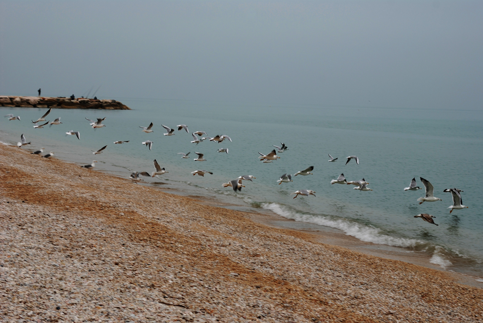 Inizio gara di pesca