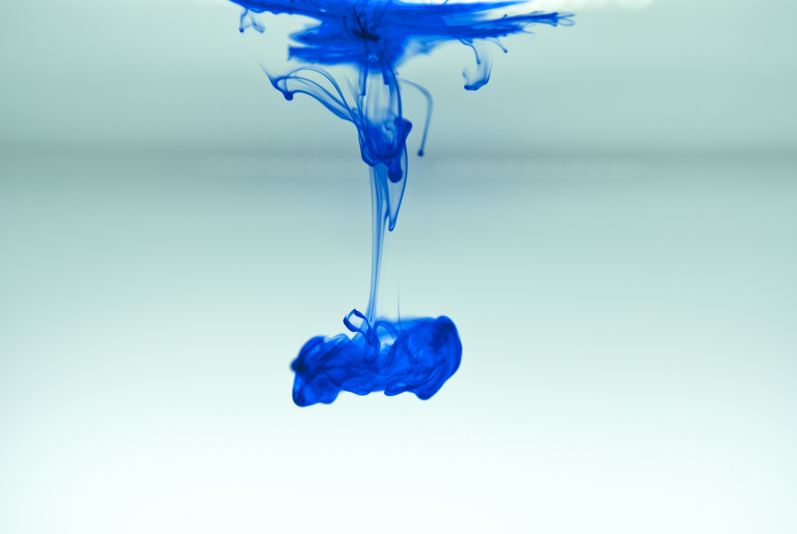 Ink Drop