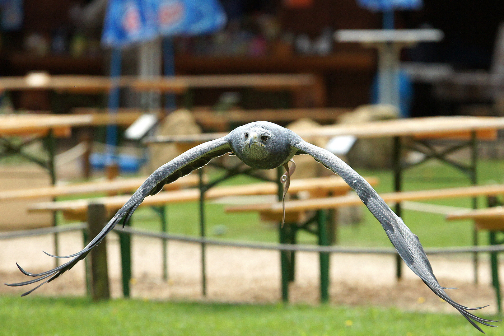 INKA IM ANFLUG