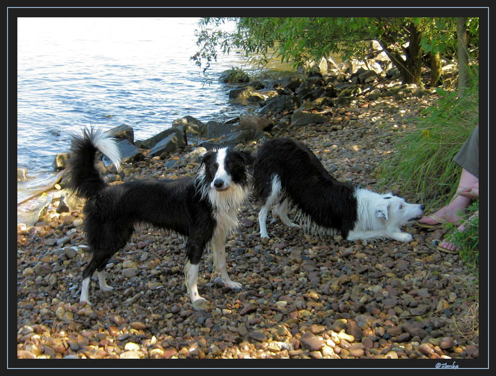 Inka und Max