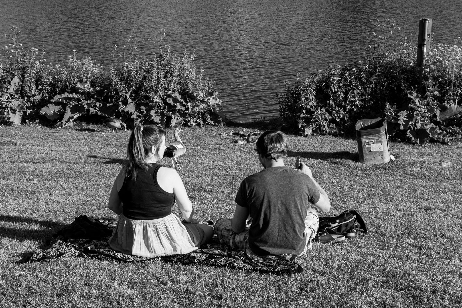 "Inklusion" auf der Neckarwiese