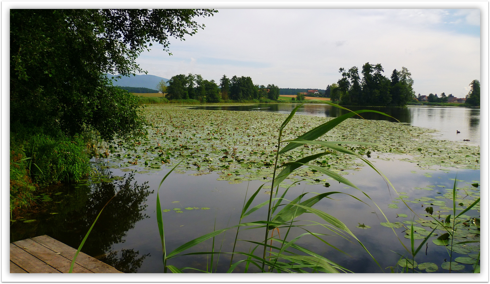 Inkwilersee Kt. Solothurn / SUISS