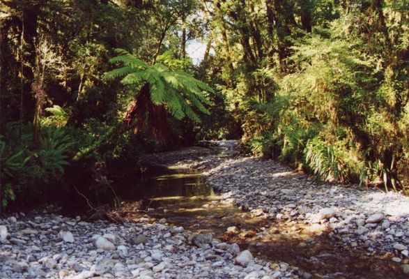 Inland Pack Track New Zealand