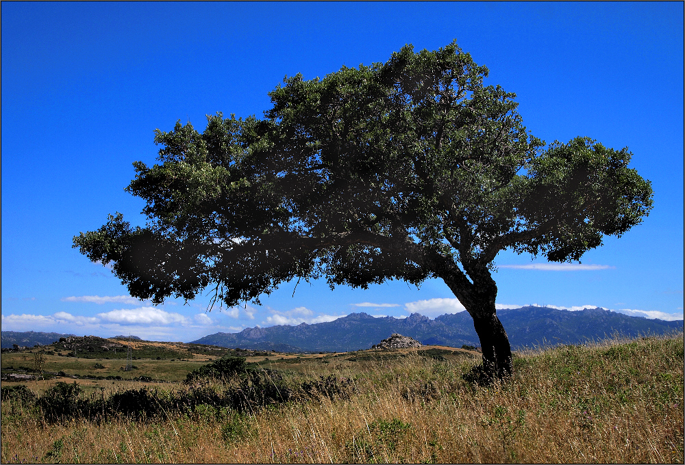 INLAND - SARDEGNA