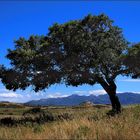 INLAND - SARDEGNA