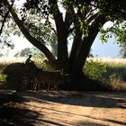 Inle Lake