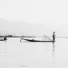 Inle Lake Fischer II