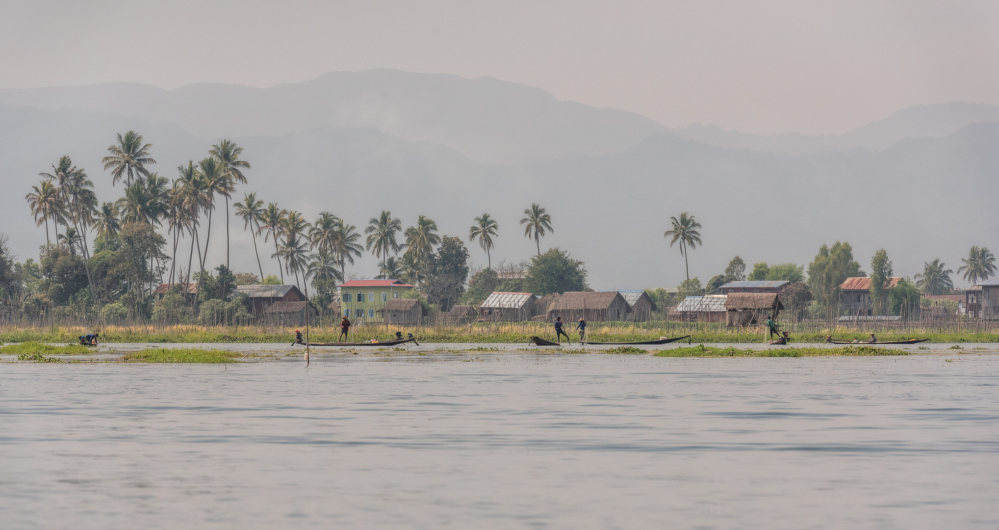 Inle Lake Fischer V