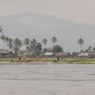 Inle Lake Fischer V