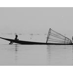 Inle Lake Fisherman III