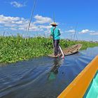 Inle lake, orti galleggianti,Myanmar