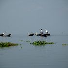 Inle. Myanmar