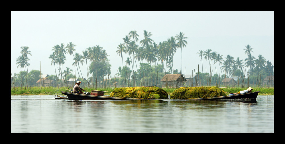 Inle-See Das Seetangboot